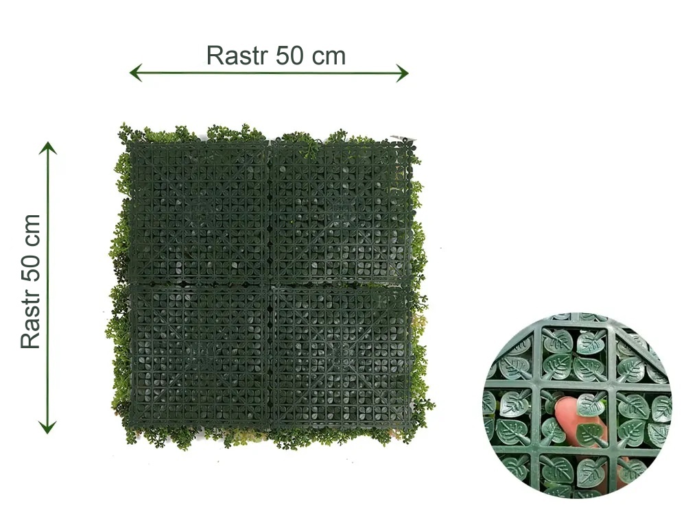MINI WALL GREEN Sedum, dílec 50 x 50 cm
