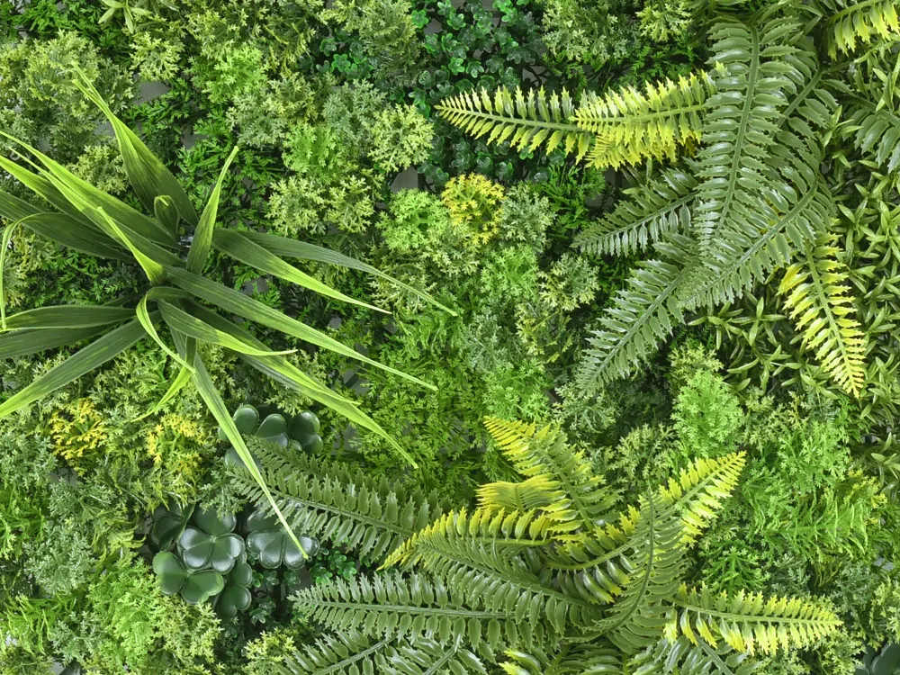 MINI WALL GREEN moss fern flora, dílec 50 x 50 cm