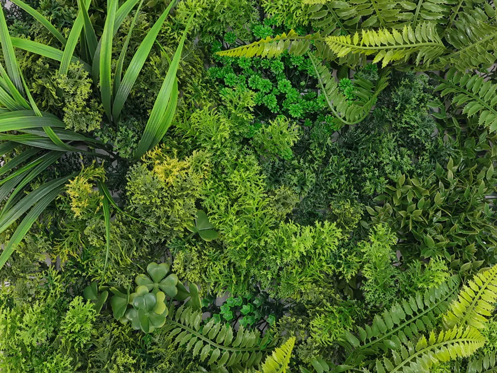 MINI WALL GREEN moss fern flora, dílec 50 x 50 cm