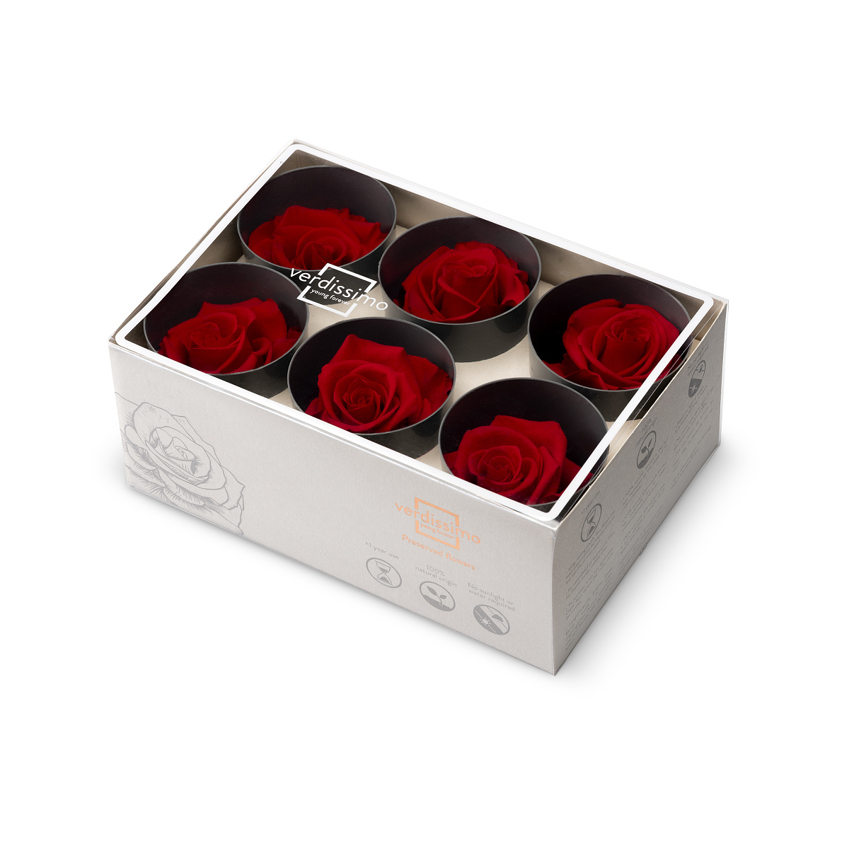 Hlavy růží - standard 6 ks