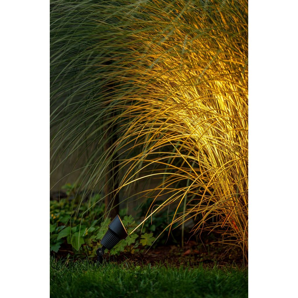 Focus SMART, 5 W, LED
