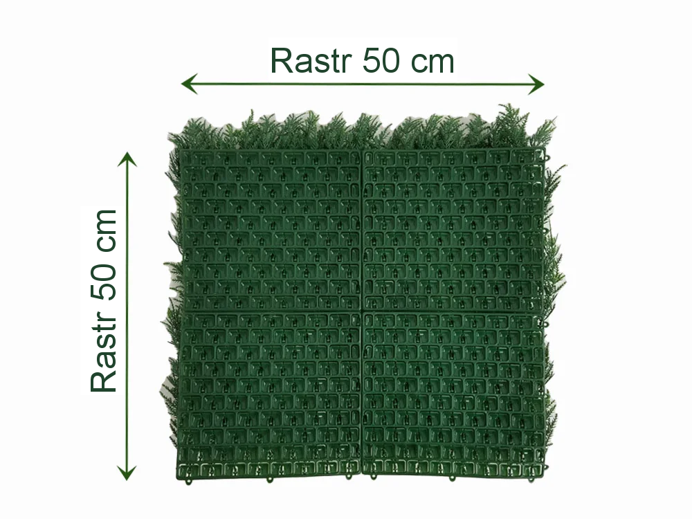 THUJA Japonica, dílec 50 x 50 cm
