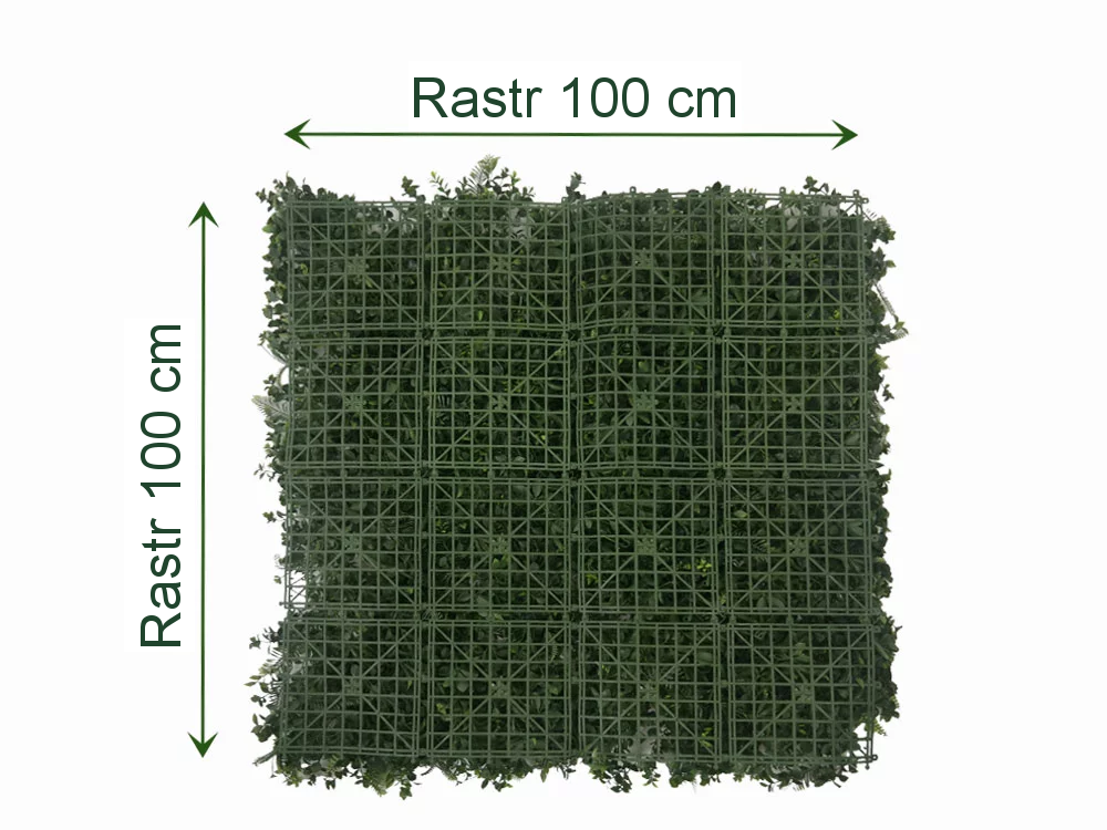 WALL GREEN Schefflera, dílec 100 x 100 cm