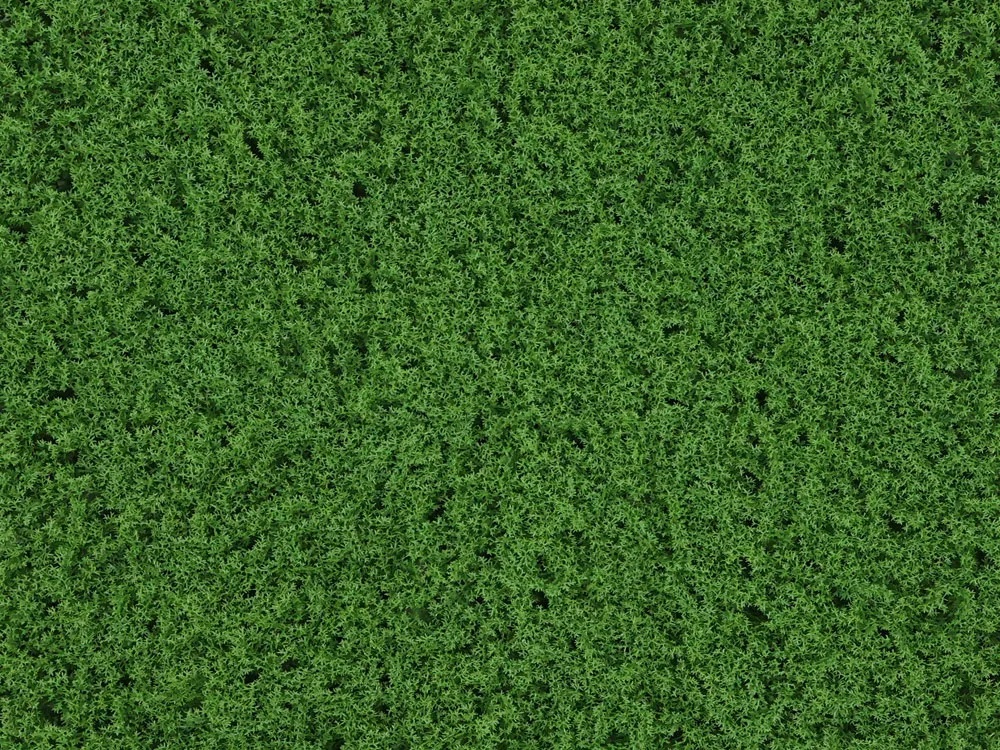 Moss Island dark green, dílec 50 x 50 cm