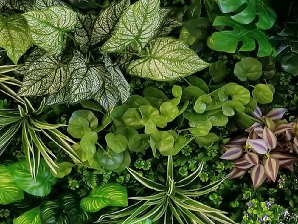 Variabilní WALL GREEN Pilea, dílec 100 x 100 cm