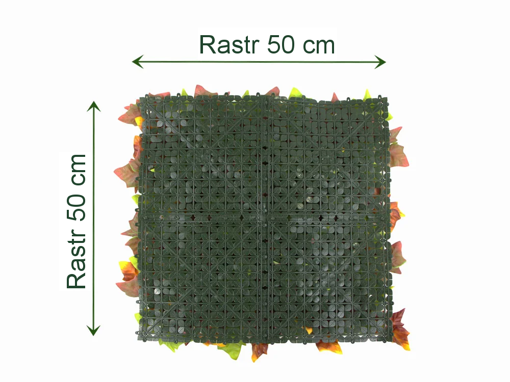 Hedera autumn, dílec 50 x 50 cm