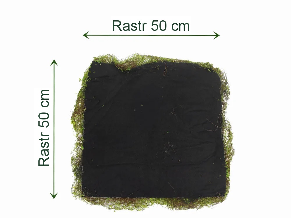 Fine moss light green, dílec 50 x 50 cm