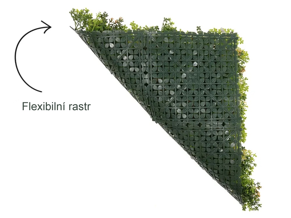 MINI WALL GREEN Sedum, dílec 50 x 50 cm