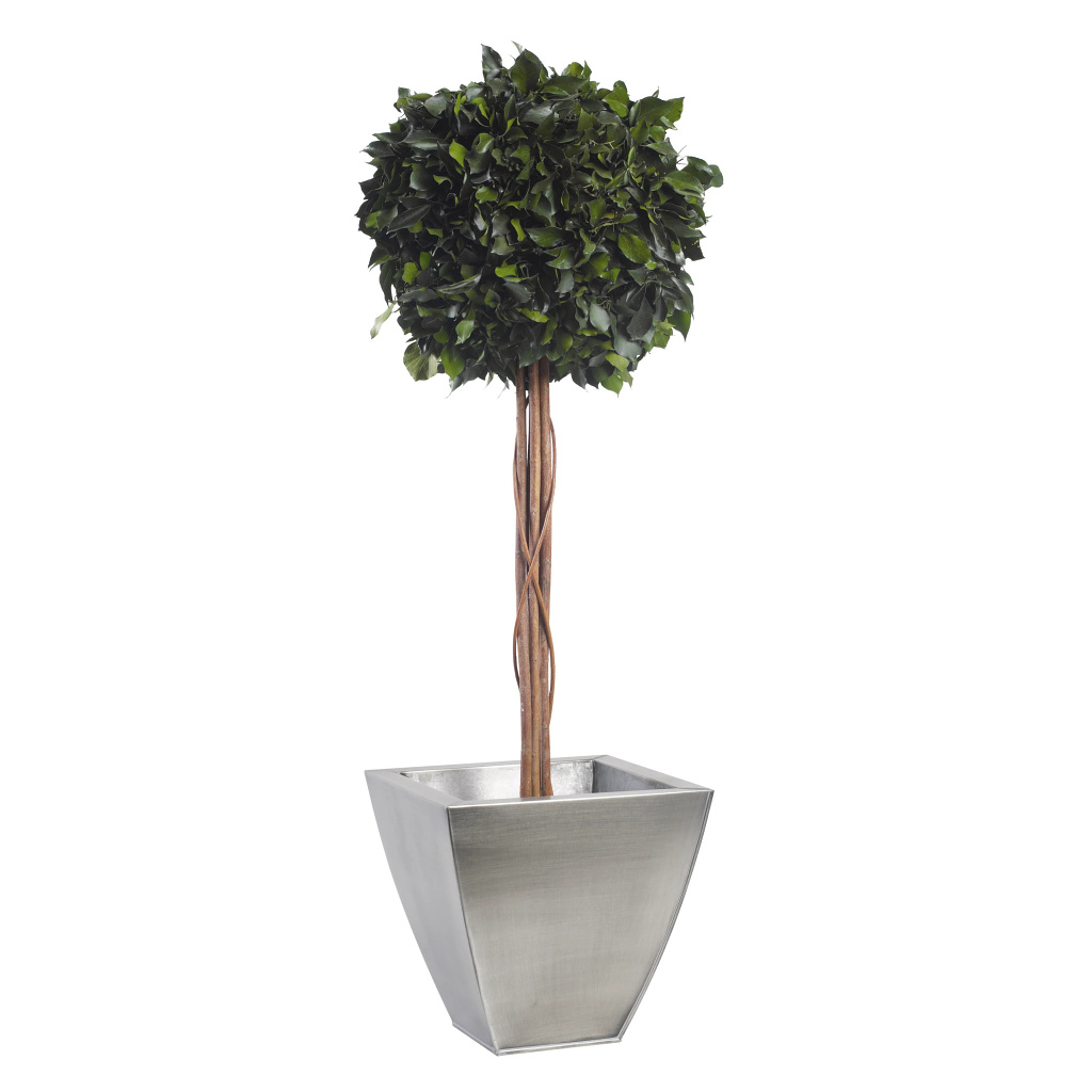 Ivy - simple sphere