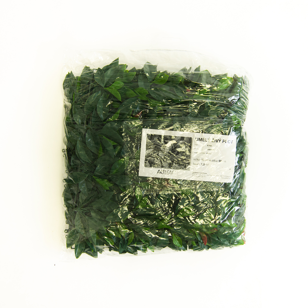 BUXUS VG, dílec 50 x 50 cm