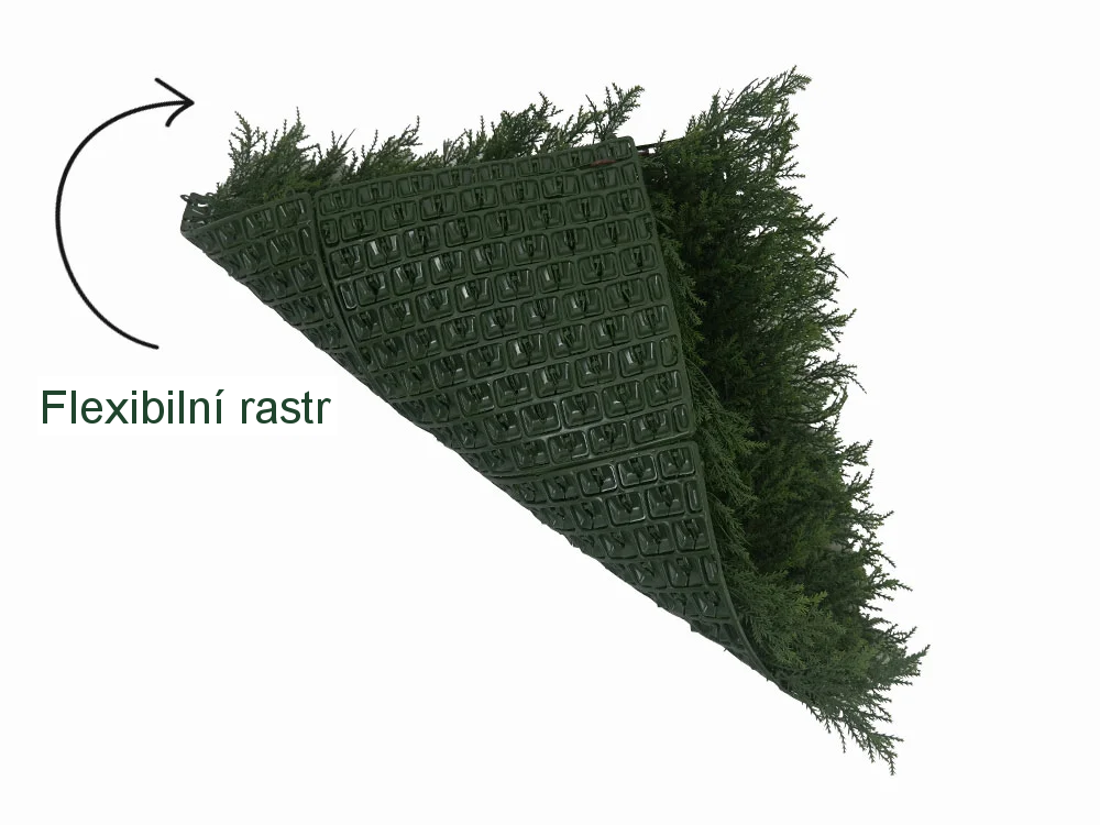 THUJA Japonica, dílec 50 x 50 cm