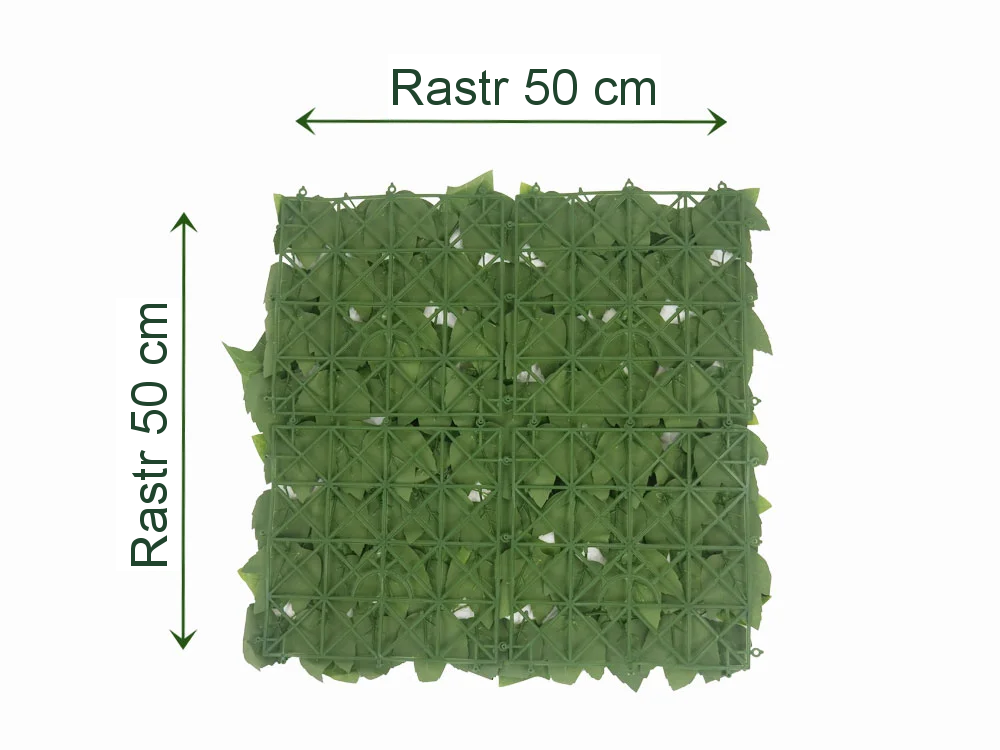 HEDERA ECONOMY, dílec 50 x 50 cm
