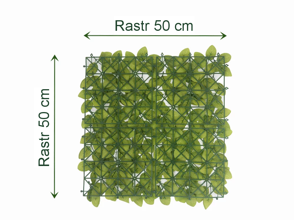 FITTONIA ECONOMY, dílec 50 x 50 cm