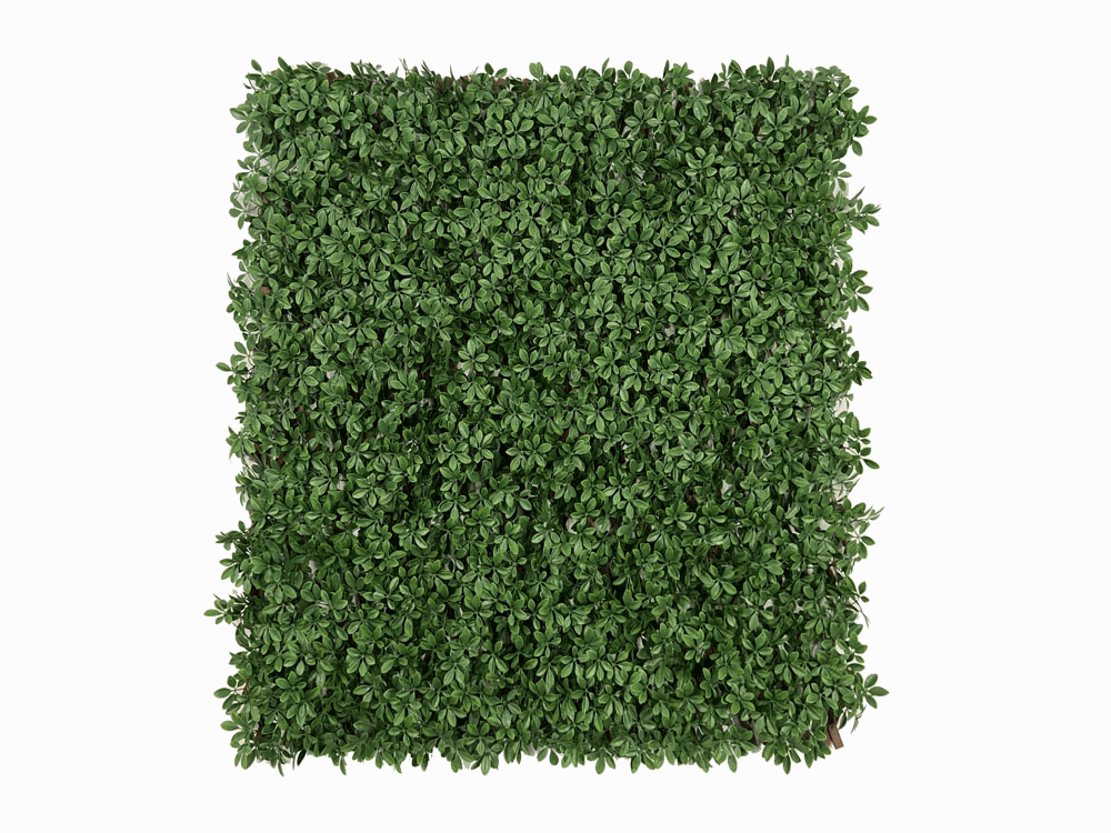 SCHEFFLERA - DARK GREEN EXT, rozměr - 1,0x2,0 m