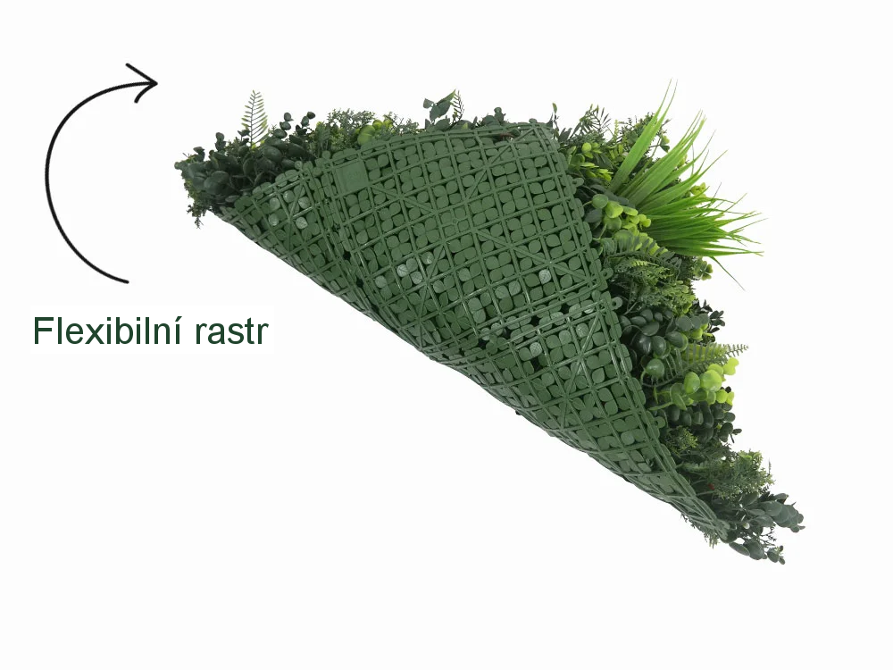 MINI WALL GREEN Dracaena, dílec 50 x 50 cm