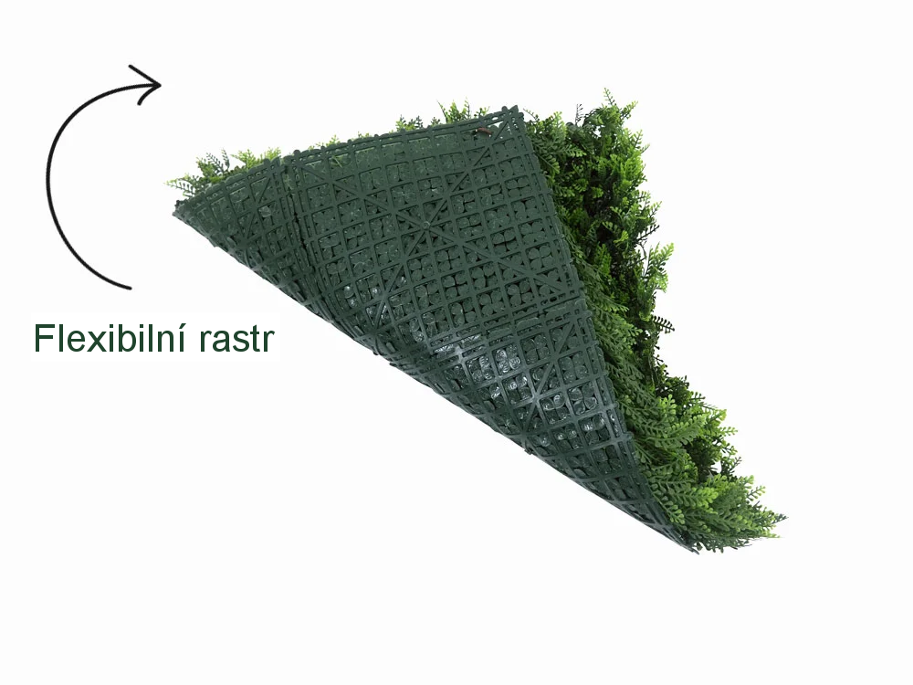 Asplenium dark, dílec 50 x 50 cm