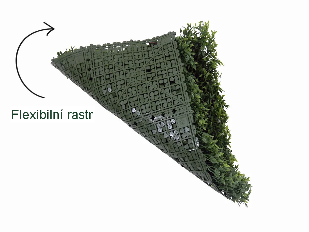 Buxus Muisdoorn, dílec 50 x 50 cm