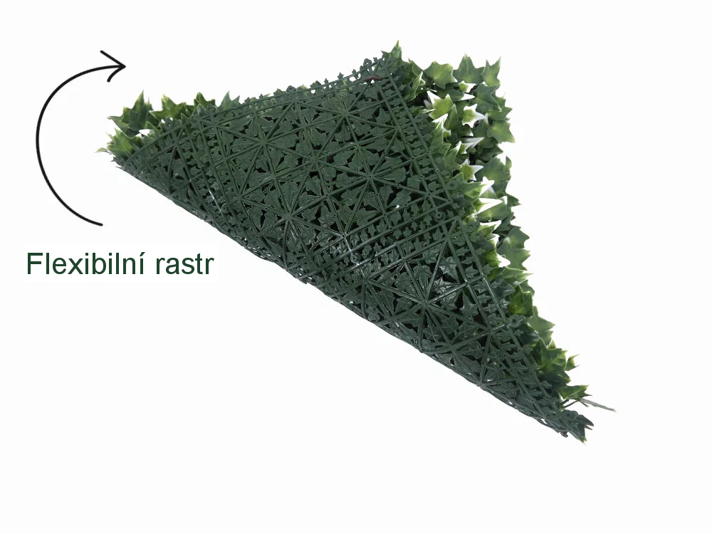Hedera helix VG, dílec 50 x 50 cm