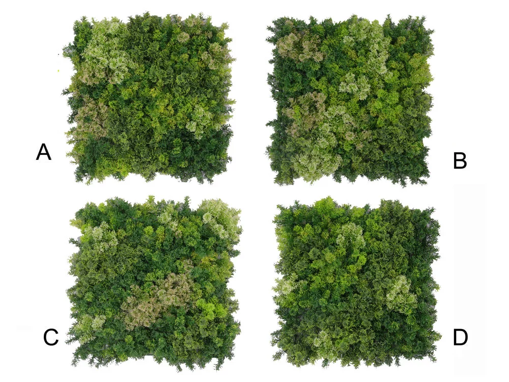 Moss coral mix 2, dílec 50 x 50 cm