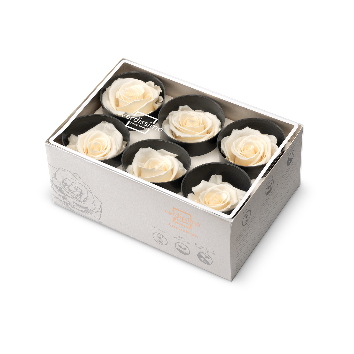 Hlavy růží - standard 6 ks