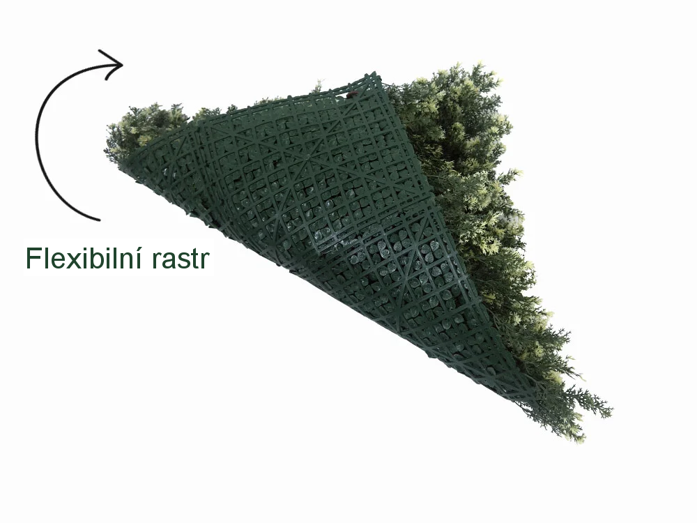 THUJA VG, dílec 50 x 50 cm