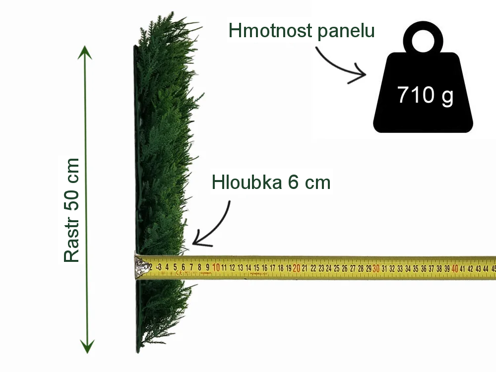 THUJA Japonica, dílec 50 x 50 cm