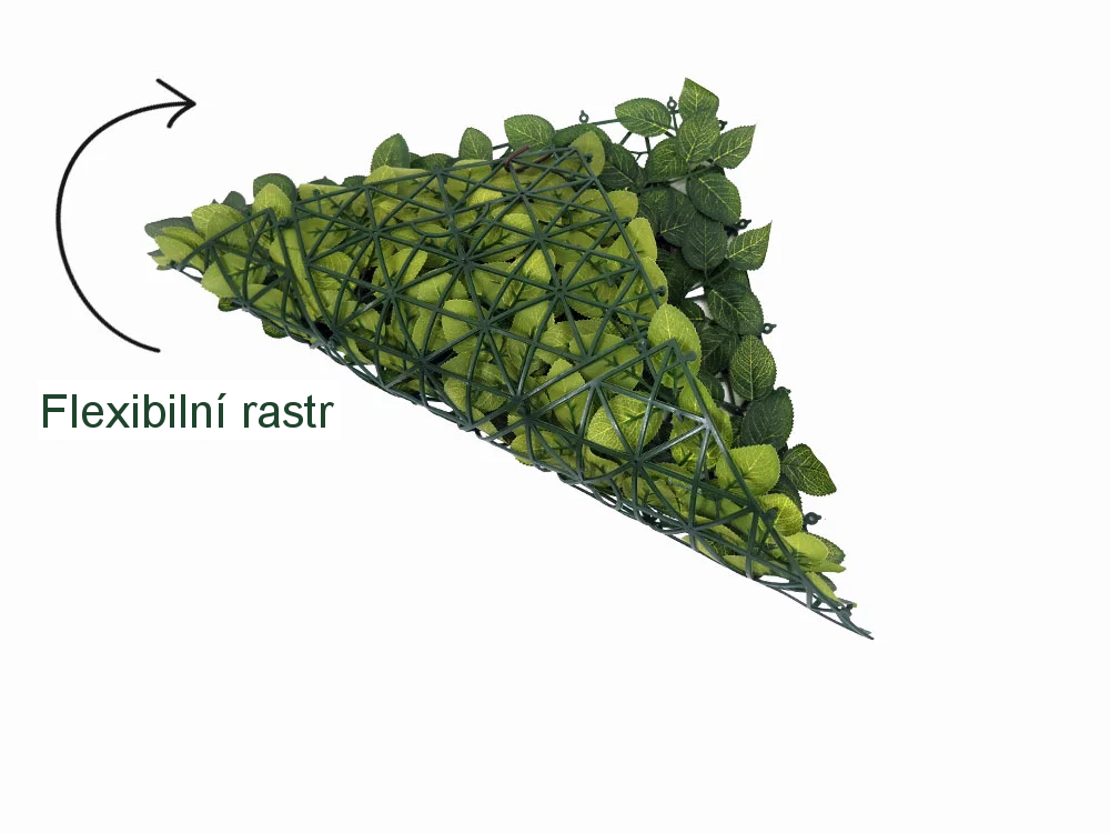 FITTONIA ECONOMY, dílec 50 x 50 cm