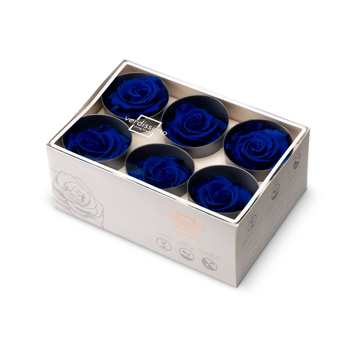 Hlavy růží - standard 6 ks