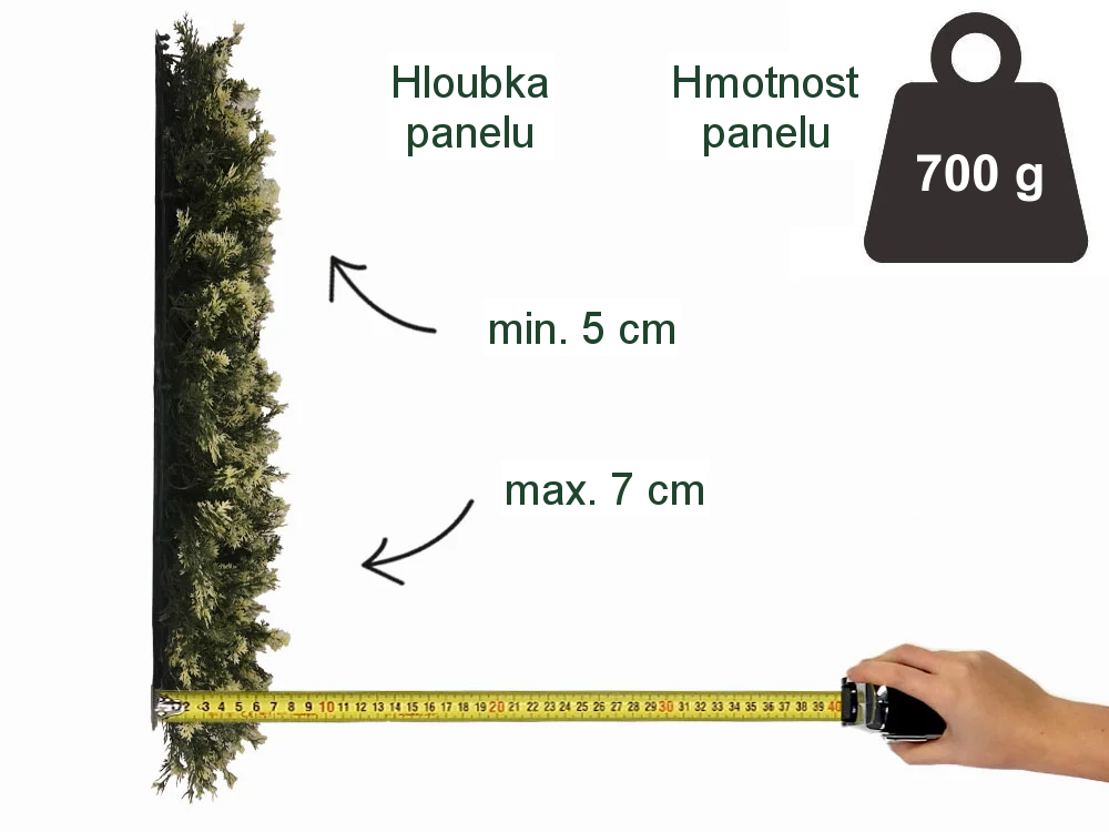 THUJA VG, dílec 50 x 50 cm