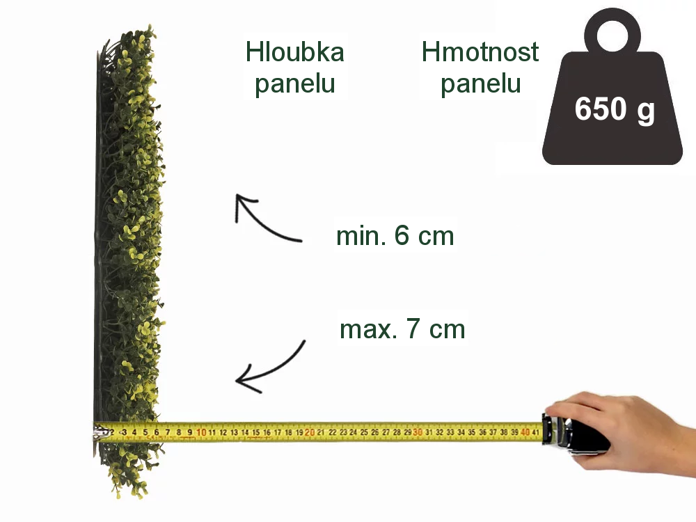 Buxus long VG yellow, dílec 50 x 50 cm