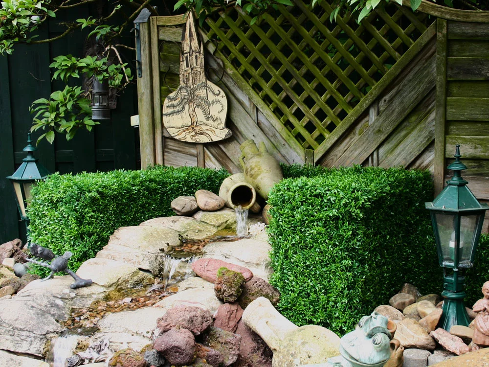 Buxus Muisdoorn, dílec 50 x 50 cm