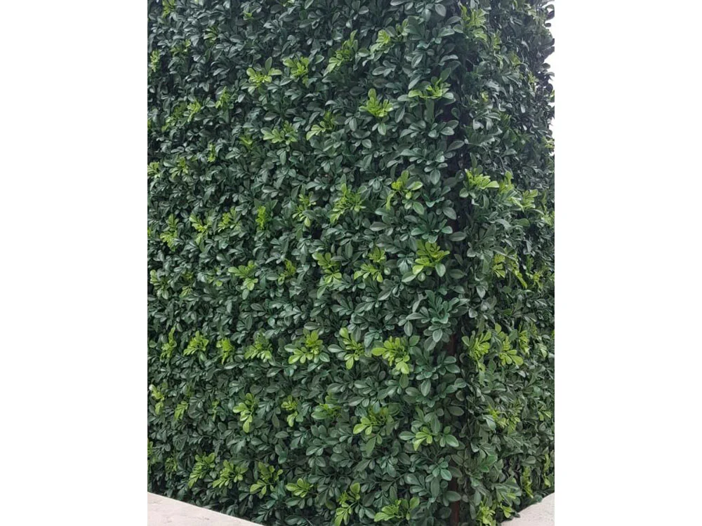 Wild lime, dílec 50 x 50 cm