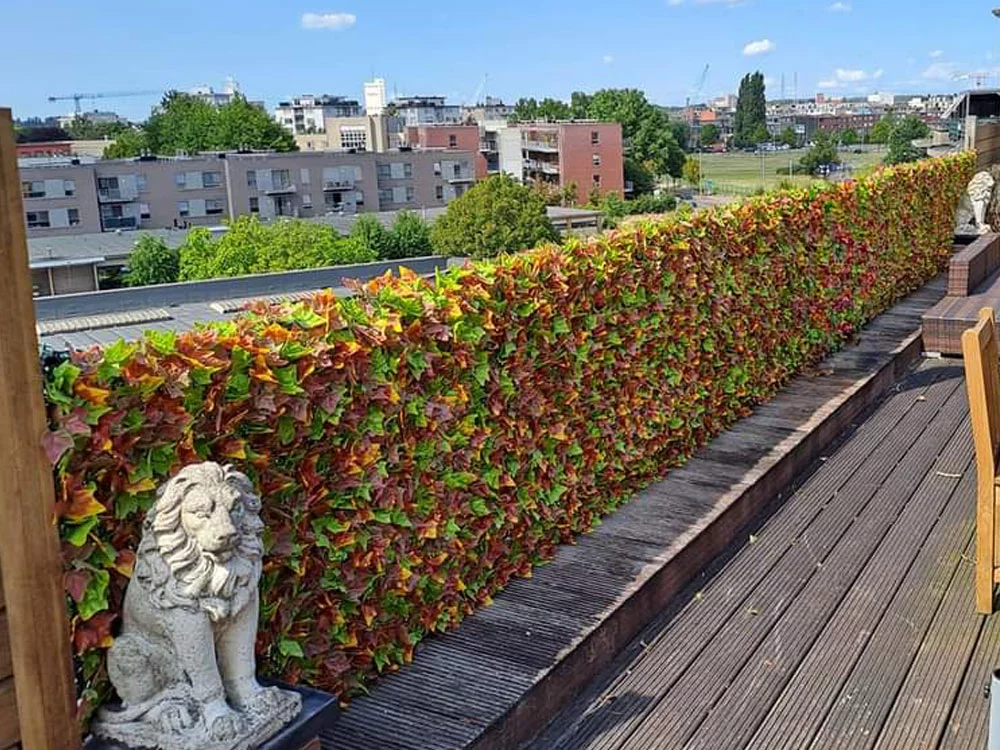 Hedera autumn, dílec 50 x 50 cm