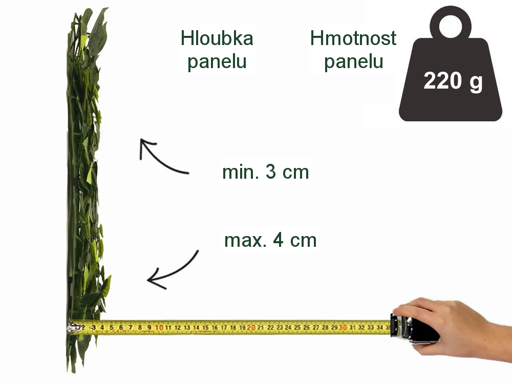 VULGARIS ECONOMY, dílec 50 x 50 cm