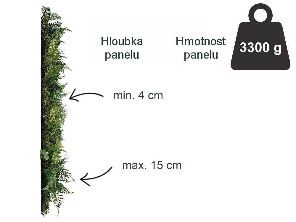 WALL GREEN beard moss fern, dílec 100 x 100 cm