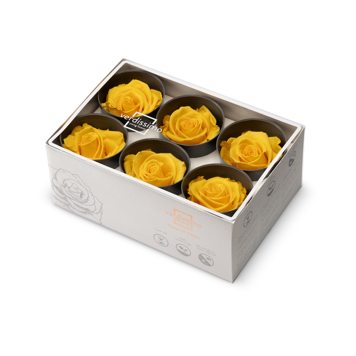 Hlavy růží - standard 6 ks