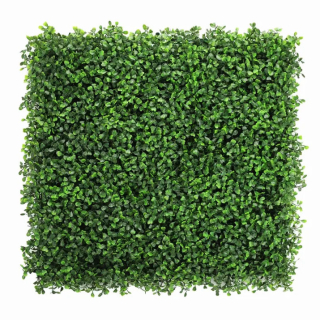BUXUS GREEN, dílec 50 x 50 cm