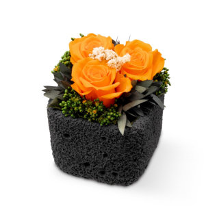 Ina DARK