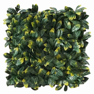 PRUNUS VG, dílec 50 x 50 cm