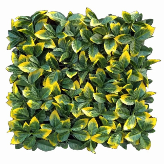 ILEX VG, dílec 50 x 50 cm