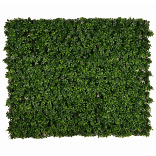 SCHEFFLERA EXT, rozměr - 1,0x2,0 m