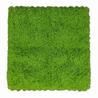 Moss green, dílec 50 x 50 cm