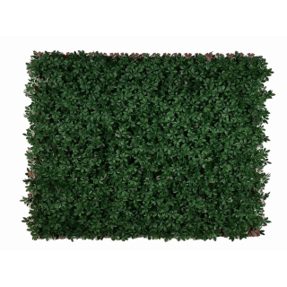 SCHEFFLERA - DARK GREEN EXT, rozměr - 1,0x2,0 m