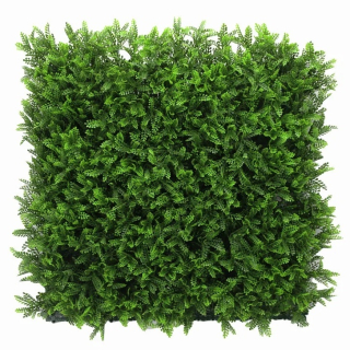 Asplenium dark, dílec 50 x 50 cm