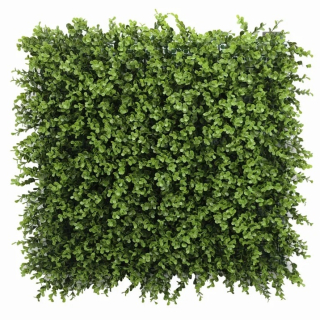 Buxus long green, dílec 50 x 50 cm
