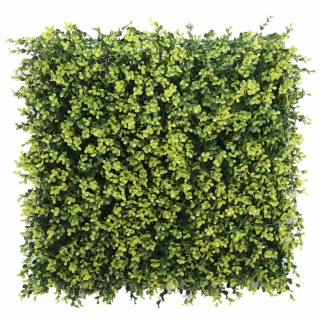 Buxus long VG yellow, dílec 50 x 50 cm