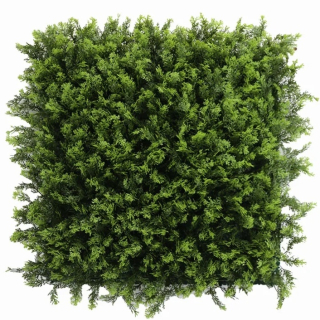 THUJA green, dílec 50 x 50 cm
