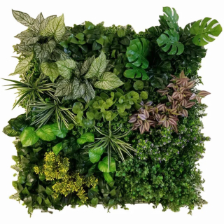 Variabilní WALL GREEN Pilea, dílec 100 x 100 cm