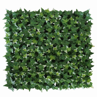 Hedera helix VG, dílec 50 x 50 cm