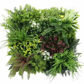 MINI WALL GREEN rich mix of plants 2, dílec 50 x 50 cm